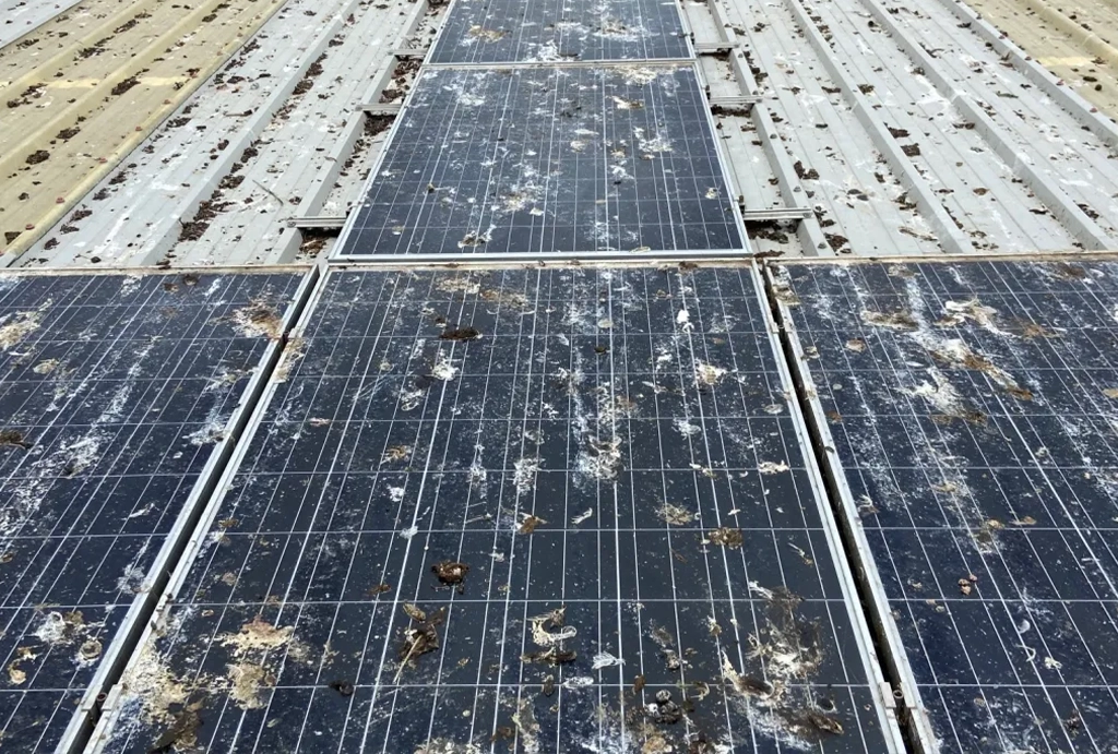 Dirty Solar Panel Brisbane - 